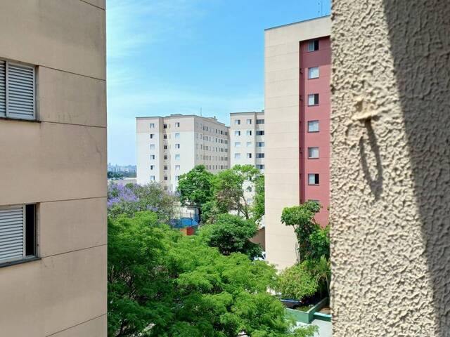 Venda em Jardim Santa Emília - São Paulo